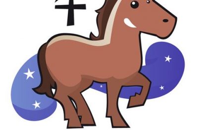 Les Relations du Cheval