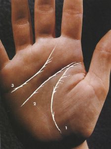Lignes de la main signification