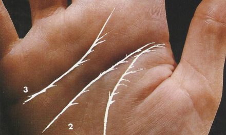 Ligne de Vie, de Tête et de Cœur