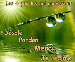 Séance de nettoyage Ho’oponopono